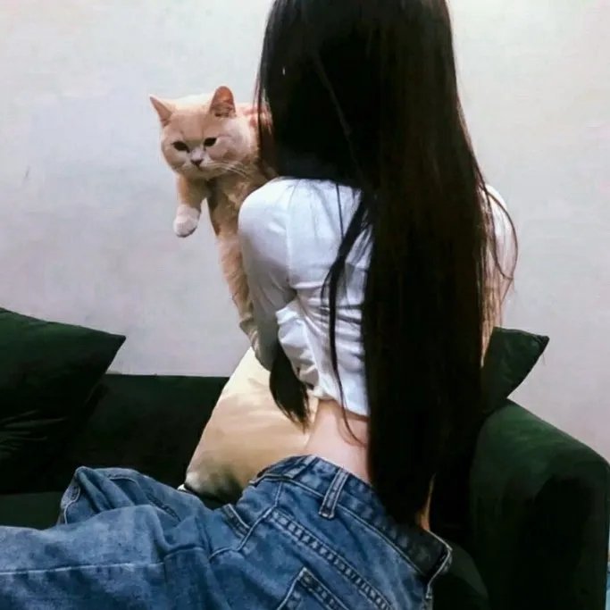 珀利克珊妮